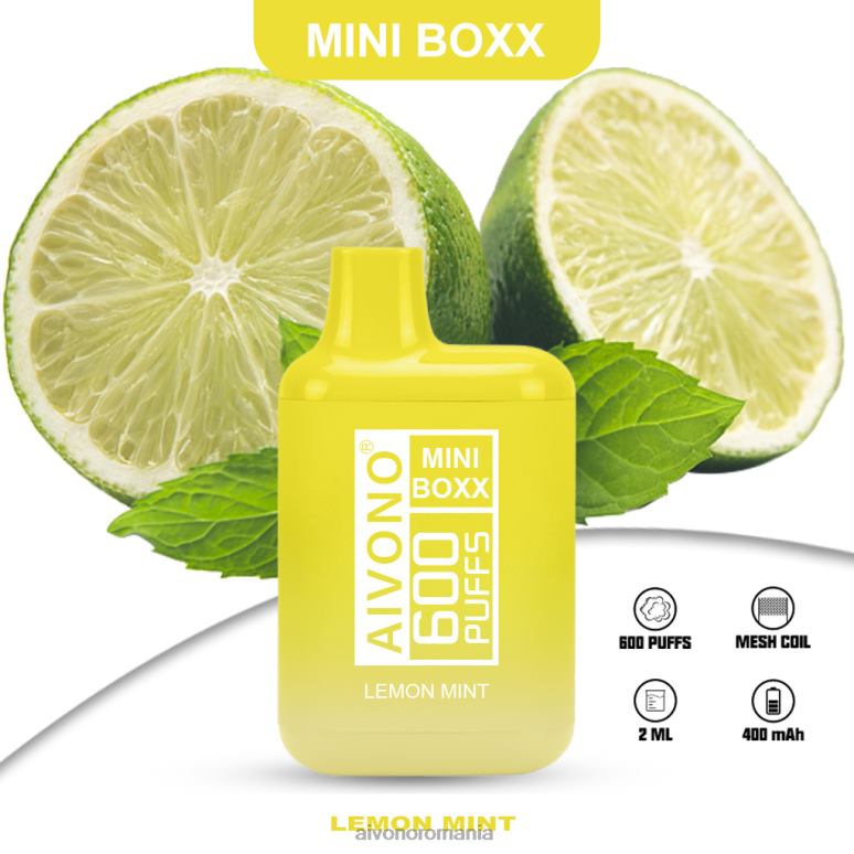 Aivono AIM MINI BOXX 600 menta de lamaie - BNV08233 Aivono Romania