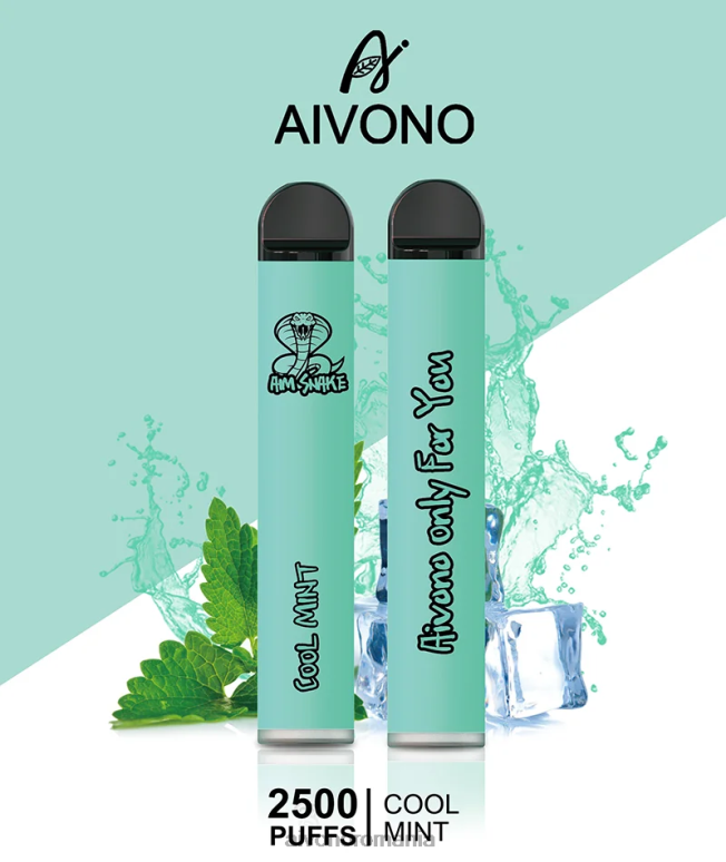 menta rece